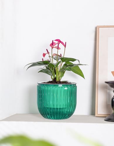 Calvalor 16.5 cm Set of 2 Hanging Plants Pot Hanging Flower Pots Outdoor Hanging Basket Outdoor Hanging Basket Hanging Indoor Hanging Pot for Plants Hanging Flower Pot Hanging Flower Pots Hanging - Image 3