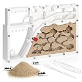 Yiyiring Yellow Sand Ant Castle Ant Habitat Kit, 8.7inch Decorative Sand Terrarium with Dropper Tweezers, No Ants or Food Included
