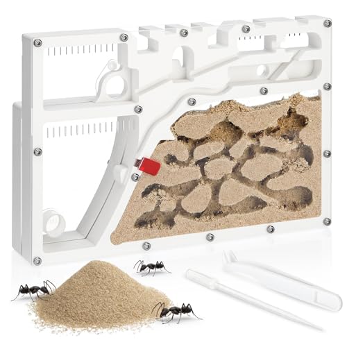 Yiyiring Yellow Sand Ant Castle Ant Habitat Kit, 8.7inch Decorative Sand Terrarium with Dropper Tweezers, No Ants or Food Included