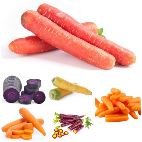 semillas de zanahoria - zanahorias balcón invernadero verdes orgánicas exóticas variedades antiguas y raras de sostenibles semillas 420semillas
