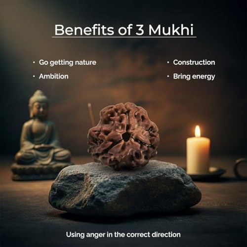Image of Divine Hindu Original 3 Mukhi (Three Face) Indonesia Rudraksha | Teen Mukhi Rudraksh Bead for Meditation, Protection & Spiritual Growth | Natural Rudraksha for Men & Women | Prayer Bead for Success