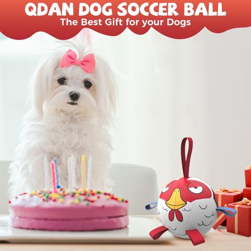 Image of QDAN Small Puppy Dog Soccer Ball with Straps, Durable Herding Toys, 5 Inch | Puppy Birthday Gifts For Dogs, Interactive Water Pool Toys, Pet Training Puppy Toys for 5-20lbs Dog Mentally Stimulating