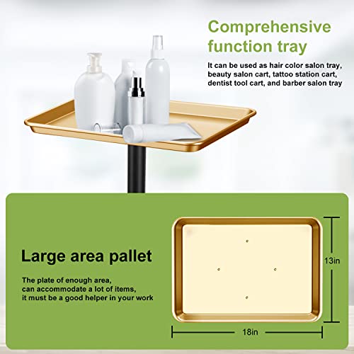 Golden Salon Tray Premium Aluminum Rolling Tray Adjustable Height Use For The Tattoo Tray Hairstylist Tray With Wheels Salon Tray Spa(Golden) #TOP3