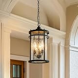 mirrea 16' Outdoor Pendant Light, Industrial Clear Glass Shade Adjustable Chain Hanging Light for Hallway, Outdoor Porch, Stairwell & Semi-Outdoor Areas, Matte Black, Pack of 1