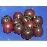 Chocolate Cherry Tomato Seeds (45 Seeds) Seeds for Planting, Farm, Growing in Garden, Greenhouse, Vegetable, Fruit