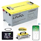 LOSSIGY Metal Case 48V Lithium Golf Cart Battery, 48 Volt Golf Cart Battery Conversion Kit with Charger&LCD Monitor, Built in 200A Bluetooth BMS, Peak Current 1000A(3-5s), Prefect for RV Solar System