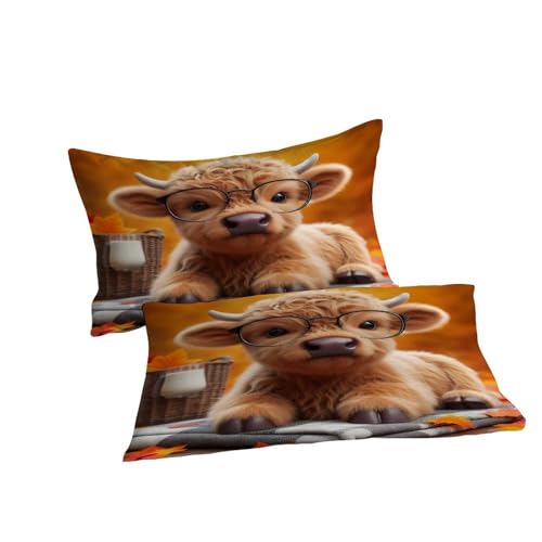 Housse de couette microfibre infroissable pour grand lit king size - 7