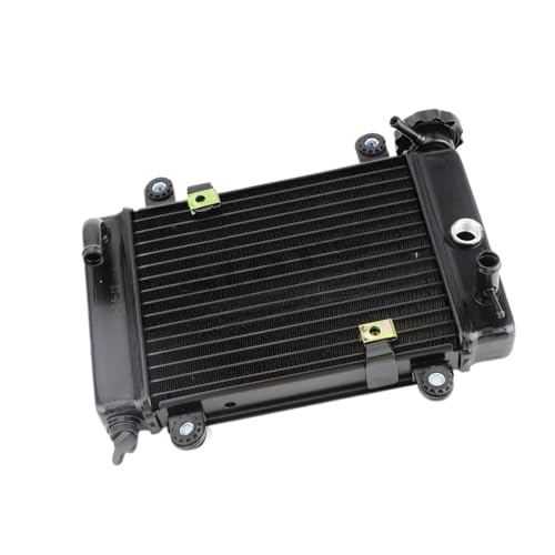 Refroidisseur de radiateur de moto pour stopper la surchauffe de quad