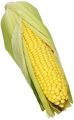 PRODUCE Corn Stalks
