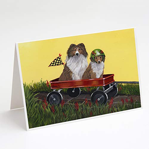 Caroline's Treasures PPP3272GCA7P Sheltie Sheepdog Express Greeting Cards and Envelopes Pack of 8 Blank Cards with Envelopes Whimsical A7 Size 5x7 Blank Note Cards