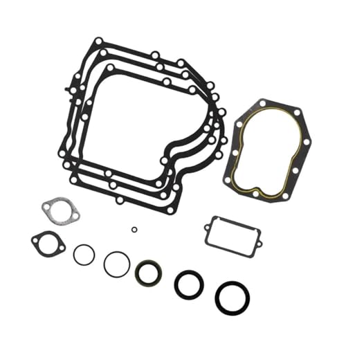 Jeu de joints complet pour réparer les fuites de tondeuse BS 490525 480-149