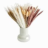 Pampasgras | 40 Stiele, 45 cm, Boho-Pflanze, Hasenschwanz, echt natürlich Pampasgras, Heimdekoration, große getrocknete Blumen für Vase, Boho-Pflanze, Hochzeitsblumen, Zimmerpflanze für Zuhause