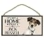 Jack Russell