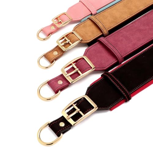 Breites Leder-Hundehalsband mit individueller Gravur, personalisierbar, für Ausweis, Name, Telefonnummer, gepolstertes Haustierhalsband für Französische Bulldogge, Labrador, Deutscher Schäferhund,