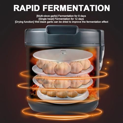 Boîte de fermentation d'ail noir 5L : finies les préparations maison ratées - 4