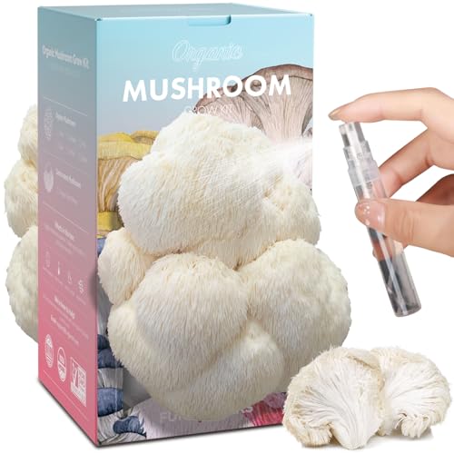 USA Organic 4lbs Lions Mane Mushroom Growing Kit Non-GMO Double-Side Mushroom Grow Kit Harvest Gourmet Mushrooms in 10 Days Top Gardening Gift Holiday Gift Handmade in Maine