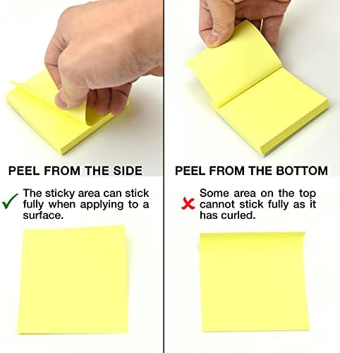 Evergreen Goods 12 Pads Post It Notes | Neon Coloured (Yellow, Pink, Orange, Green and Peach) | Removable Adhesive Sticky Reminders, Memos, Revision | 100 Sheets per Pad - 76x76mm (3"x3")
