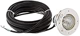 Pentair 77118100 Stainless Steel AquaLight Halogen Quartz Light 120-Volt 100-Watt, 50-Feet Cord
