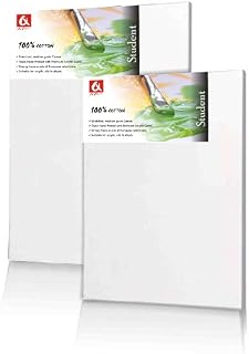 Set of Canvas 10x12" (25x30 cm) Artist Blank Stretched & Gesso Primed Framed Cotton Canvas (5)