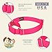 Country Brook Petz Martingale Dog Collar - Heavy-Duty Training Collar with No Buckle - Service Dog Collar for All Pups - Vibrant, Colorful Collection (Hot Pink, 1 Inch, Medium)