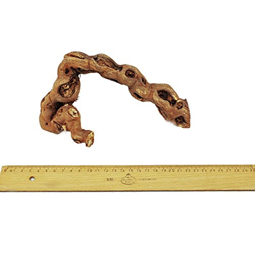 Exotenherz - Rebholz 18-20 cm