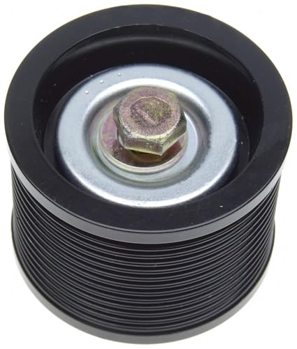 ACDelco Poulie de renvoi professionnel 36282 pour courroie d'accessoire