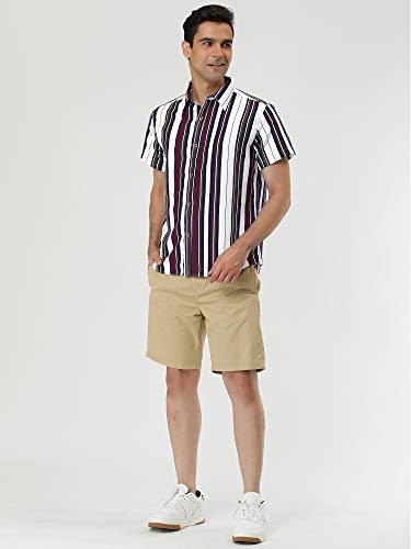 Lars Amadeus Men's Summer Striped Shirts Short Sleeves Button Down Beach Color Block Shirt X-Large White Brown #TOP3