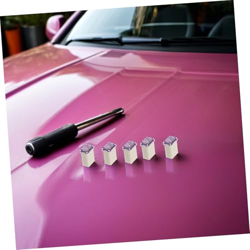 IMIKEYA Fusibles Micro Cuadrados Protección Automotriz 6