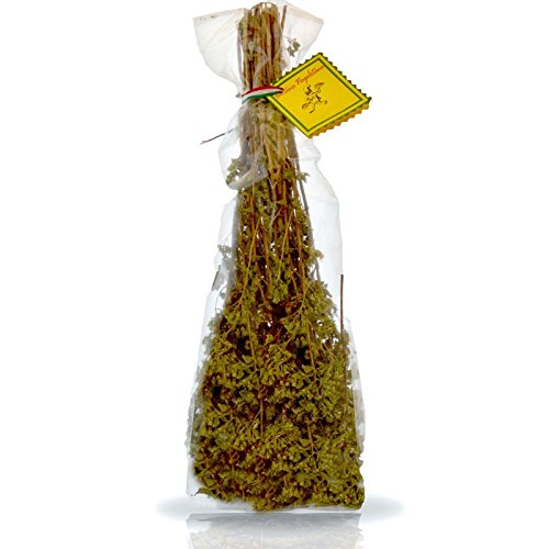 Origan branche italienne - Offrez 5 pièces