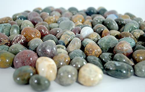 Image of Fancy Pebbles for Decoration and Pebbles for Plants Pots, Table Decor, Home Decor, Vase Fillers - Decorative Pebbles Stones (2.9 Kgs, Fancy Pebbles)