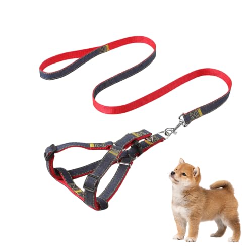 CATOR Set da 2 pezzi per cani a forma di Y pettorina cane taglia piccola, rosso, adatto a cani di peso compreso tra 8 e 15 kg (con guinzaglio)