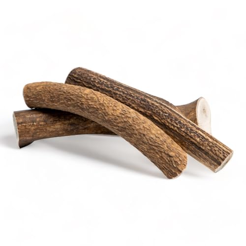 Dilecti Corno di Cervo per Cani - Osso di Cervo da Masticare, Snack Naturale e Gioco Masticativo di Lunga Durata per l'Igiene Dentale del Cane - interi M (3 Pezzi)