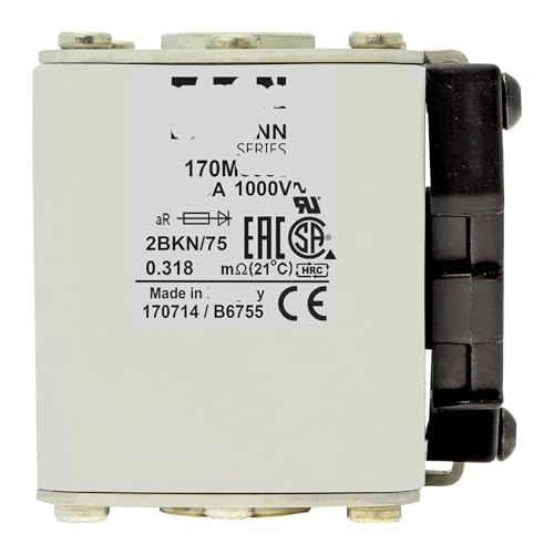 Fusible 170M5959 européen type Cube à extrémité plate pour armoire électrique