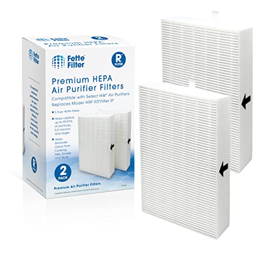 Fette Filter Air Purifier Filters. Compatible with HRF-R2, HRF-R3, Filter R (HRF-R2, 2-Pack)