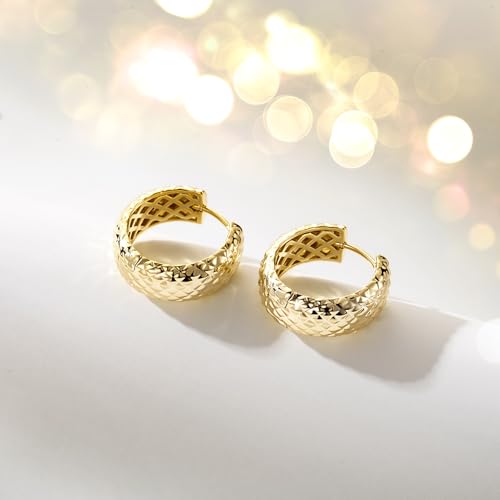 14K Gold Earrings for Women Gold Earrings for Sensitive Ears Hypoallergenic Small Hoop Earring 20mm4