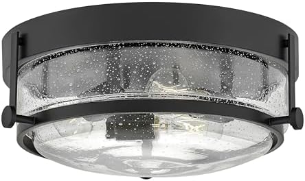 Hinkley Harper 3640BK-CS Small Flush Mount Ceiling Light, Retro Design, Prominent Metal Ring, Decorative Knobs, in Black and Clear Seedy Glass