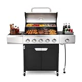 Endark 5-Burner Stainless
