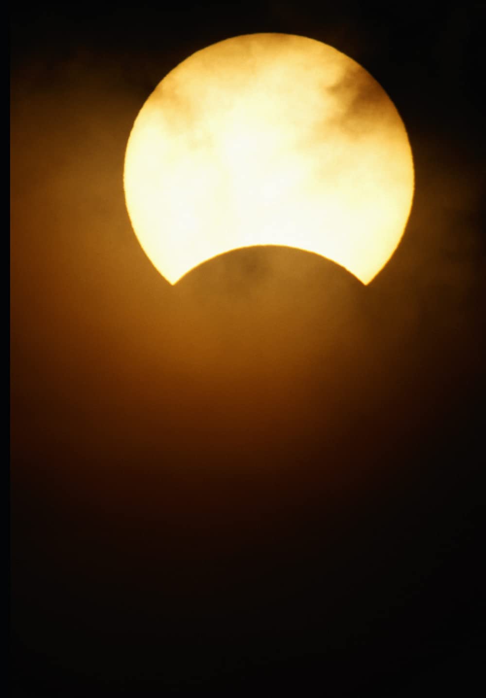 My Kind Of Place: The Darklight Cafe Complete Series