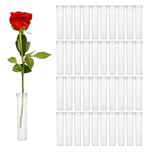 DIFEIUKI t[ EH[^[`[u 100Zbg Ԑ NA`[u h{`[u Lbvt Ԃ̐  t[AWgp ԉp ԗp`[u 7.2cm*1.8cm