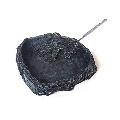 Tfwadmx Cuenco de agua para reptiles Cover