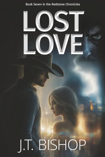 Lost Love view 2