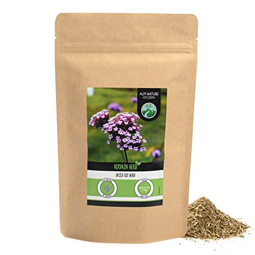 Vervain (Verbena officinalis)