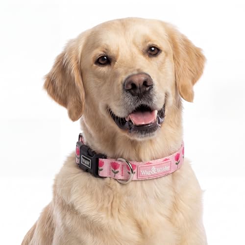 Image of Wag and Wilder Dog Collar and Leash Set for Small, Medium & Large Dogs - Heavy Duty Adjustable Collar & 5 FT Dog Leash Combo, Strong Metal Hook (Jaipur Bloom- Pink, Large, Collar Only)