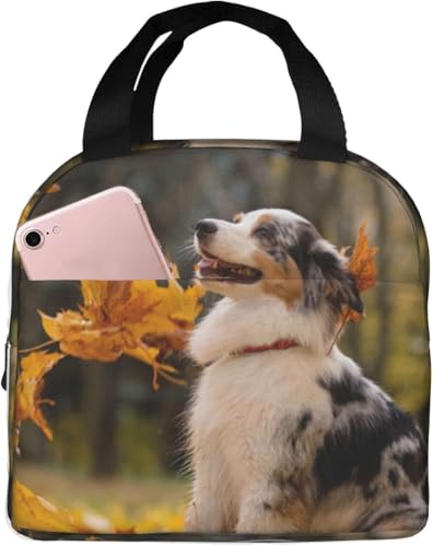 I[XgAEVFp[h t ۗ⃉`obO ٓ 킢 e ܂ y RpNg fMA~V[g |Pbgt g[gobN