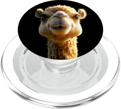 Cammello per gli amanti dei cammelli del deserto, dei dromedari e dei cammelli bactriani. Questo divertente costume da cammello è perfetto per i fan del dromedario e per tutti gli amanti dei cammelli. Un divertente regalo a cavallo di un cammello.