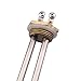 AIICIOO 220-240v 1000w Elemento Calentador de Agua Acero Inoxidable de Grado Alimentario...