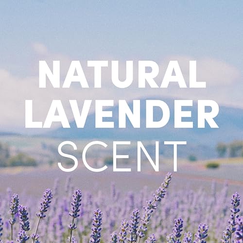 Image of Clean Revolution Liquid Gel Hand Soap Refill with Real Essential Oils - Sulfate-Free Gel Hand Wash, Moisturizing Bulk Refill, Non-Toxic Formula, Made in the USA (Natural Lavender) 128 Fl Oz