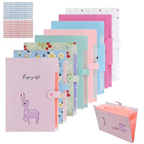 MerryNine - Carpeta de archivo expandible con 5 bolsillos cada uno con 40 bolsillos, tamaño A4, organizador de documentos de acordeón con 64 etiquetas para la escuela, oficina, varios datos