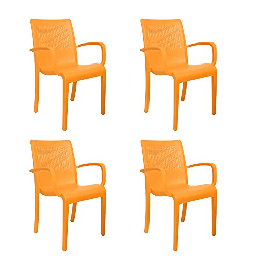 Image of CELLO Ecstasy Elegant Set of 6 Chairs (Amber Gold) | Strong and Durable | Easy to Clean | Chair for Living Room, Bed Room, Kitchen, Office Room, Outdoor | 3 Years Warranty
