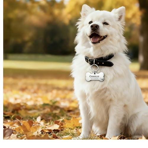 Hundemarke mit Gravur Personalisiert aus Edelstahl Hundeanhänger inkl. Schlüsselring - Namensschild für Halsband - Dog Tag Anhänger Marke für Hunde, Tiermarke für Katzen und Welpen (Knochen)